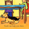 Teeth Are Not for Biting — Board Book for Toddlers (Ages 1-4 yrs) | Builds Gentle Communication & Kindness | by Free Spirit Publishing