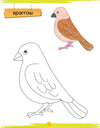 Lil Legends Book of Copy Colouring for kids,To Learn About Birds, Age 3 +