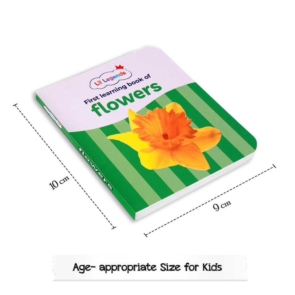 Lil Legends Mini Library - Box Set | Volume 1 & 2 - 24 Books - Alphabet | Numbers | Colours | Shapes | About Me | Flowers | Vegetables | Fruits | Farm & Pet Animals | Wild Animals | Transports | and more. Oswaal Books and Learning Private Limited