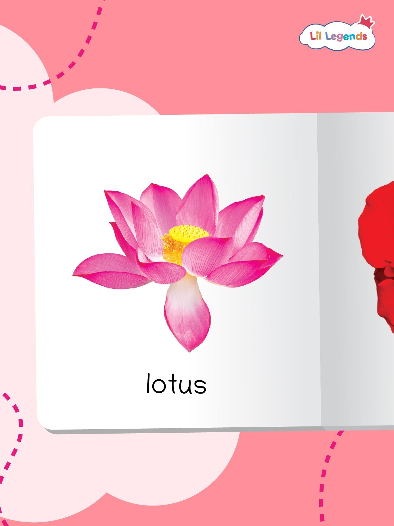 Mini Library Box Set – 12 Durable Board Books for Toddlers | Early Learning Concepts Like Alphabet, Numbers, Colours, Animals & More | Tear-Resistant | Perfect for Ages 0–4