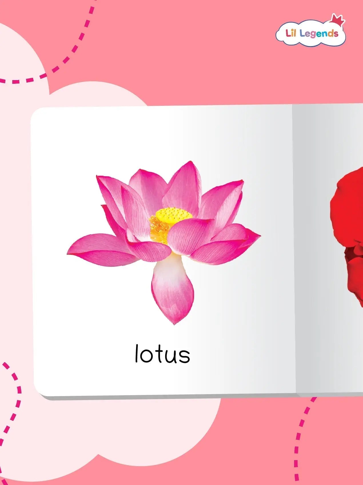 Mini Library Box Set – 12 Durable Board Books for Toddlers | Early Learning Concepts Like Alphabet, Numbers, Colours, Animals & More | Tear-Resistant | Perfect for Ages 0–4