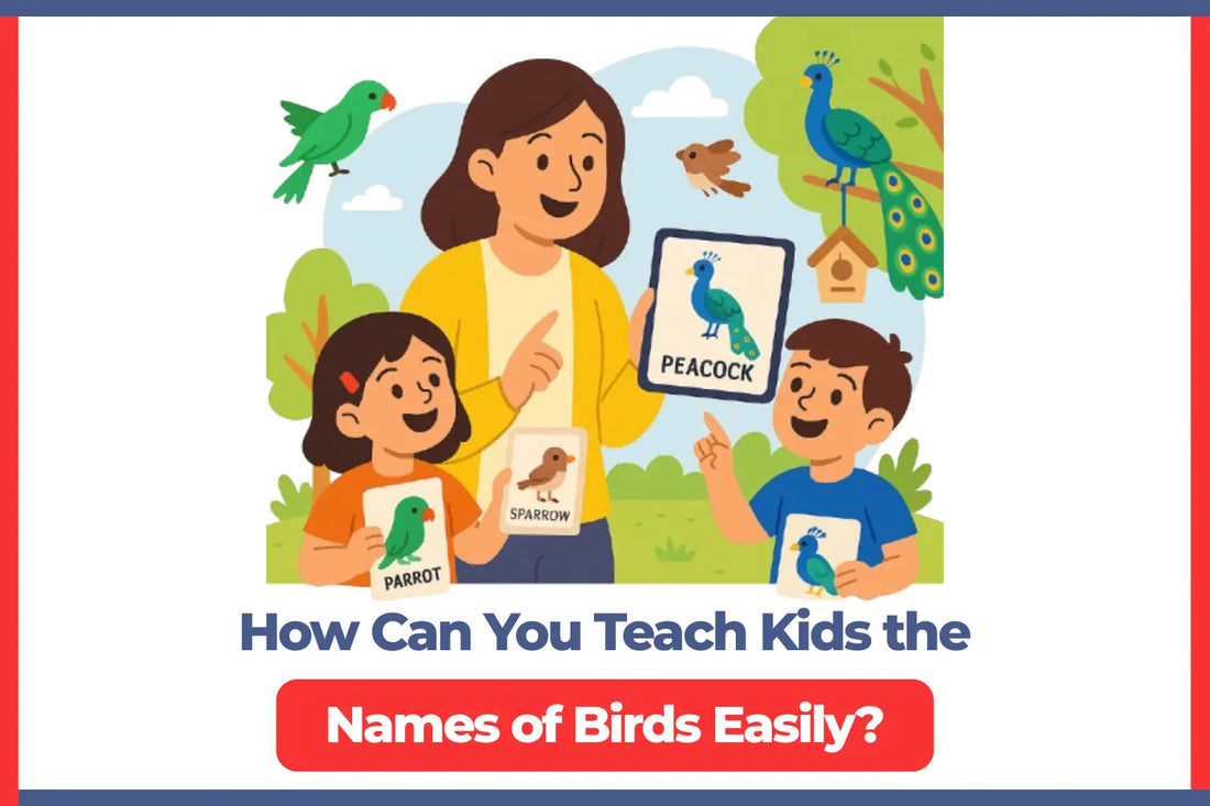 How Can You Teach Kids the Names of Birds Easily? 