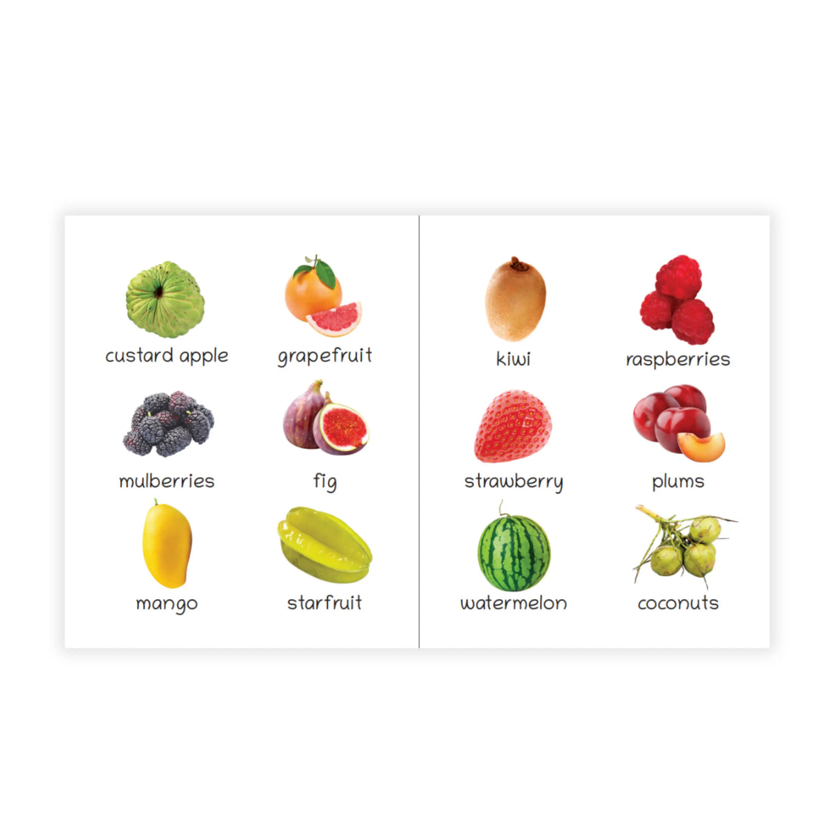 Lil Legends Picture Book for Kids Age 1+ Years - Learn About Fruits | Early Learning Illustrated Book with Colourful Pictures | First Words Book for Toddlers & Preschoolers 