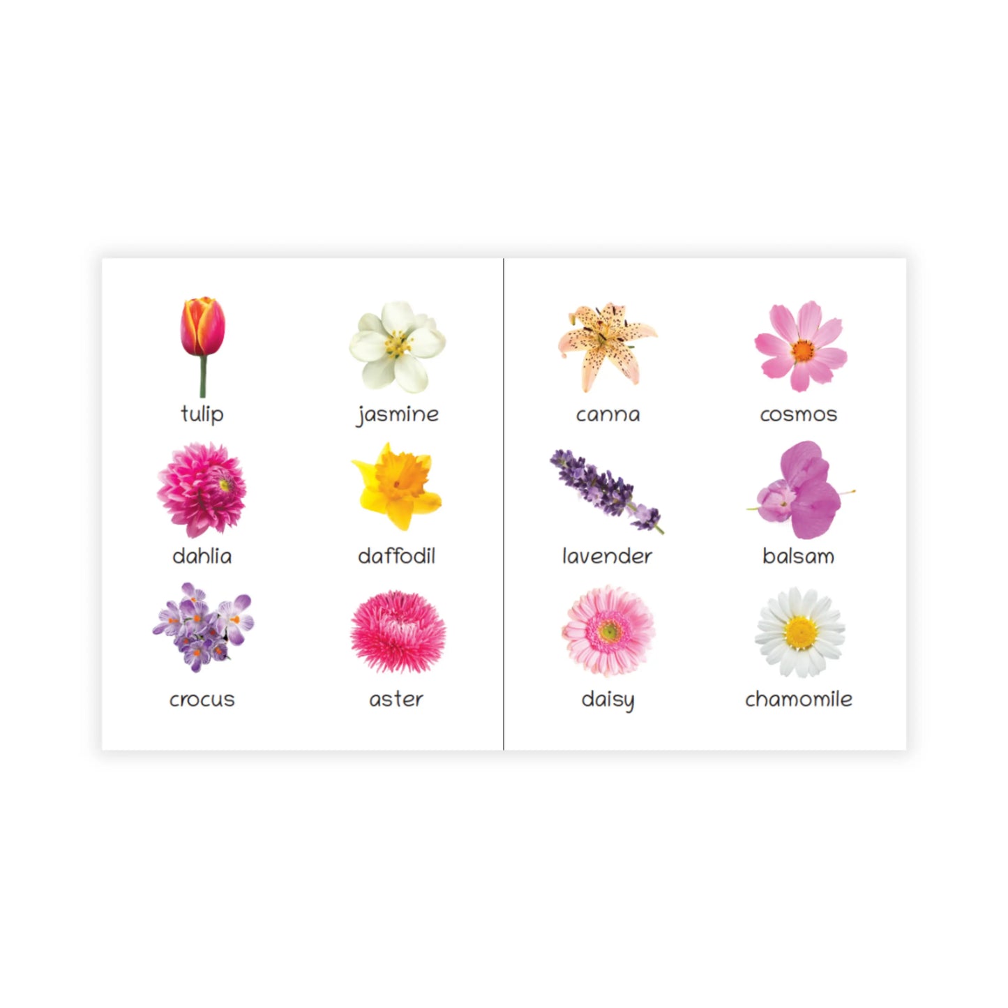 Lil Legends Picture Book for Kids Age 1+ Years - Learn About Flowers | Early Learning Illustrated Book with Colourful Pictures | First Words Book for Toddlers & Preschoolers 