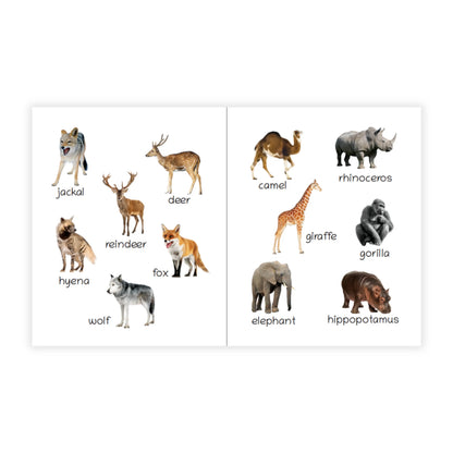 Lil Legends Picture Book for Kids Age 1+ Years - Learn About Wild Animals | Early Learning Illustrated Book with Colourful Pictures | First Words Book for Toddlers & Preschoolers 