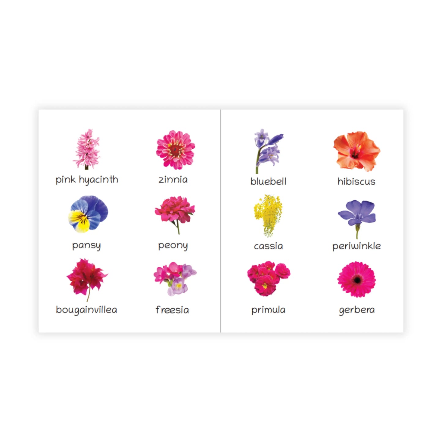 Lil Legends Picture Book for Kids Age 1+ Years - Learn About Flowers | Early Learning Illustrated Book with Colourful Pictures | First Words Book for Toddlers & Preschoolers 
