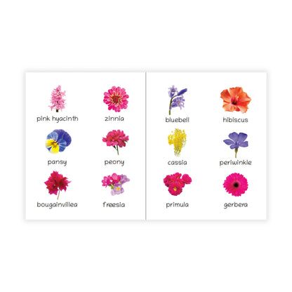 Lil Legends Picture Book for Kids Age 1+ Years - Learn About Flowers | Early Learning Illustrated Book with Colourful Pictures | First Words Book for Toddlers & Preschoolers 