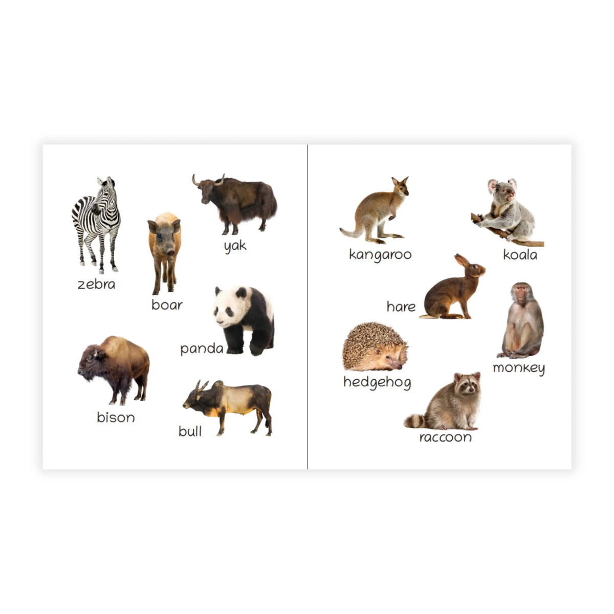 Lil Legends Picture Book for Kids Age 1+ Years - Learn About Wild Animals | Early Learning Illustrated Book with Colourful Pictures | First Words Book for Toddlers & Preschoolers 