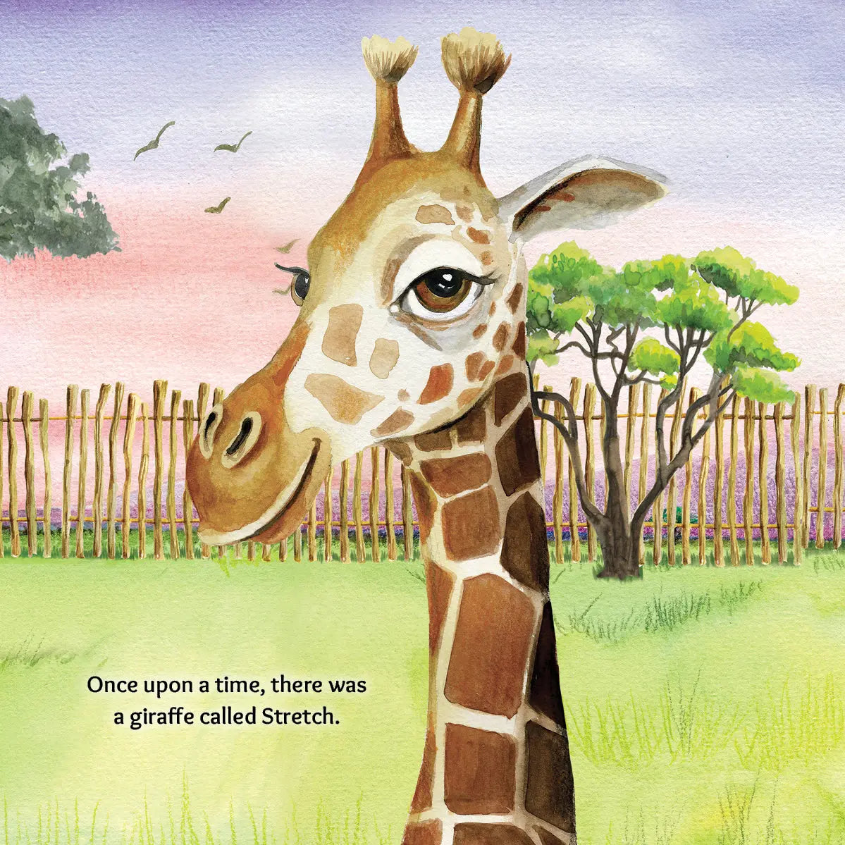 Austin Macauley, Lil legends, A Life Lessons for Kids, A Giraffe Called Stretch 
