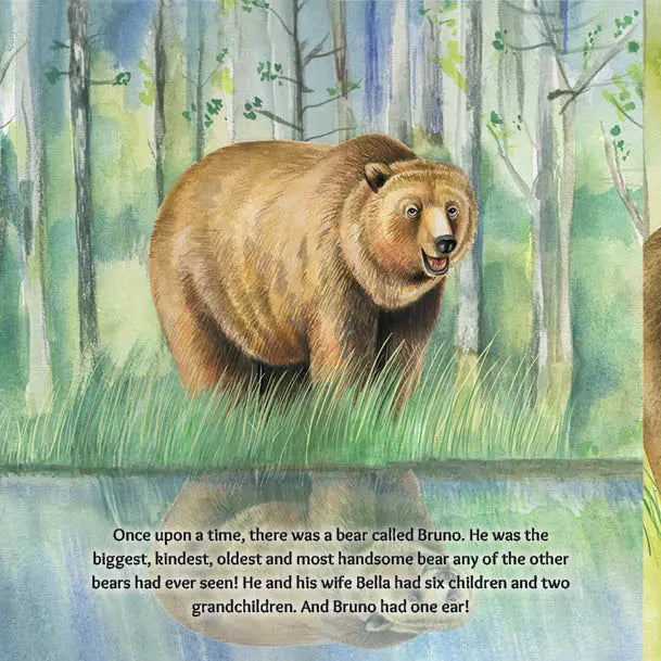 Austin Macauley, Lil legends, A Life Lessons for Kids, A Bear Called Bruno