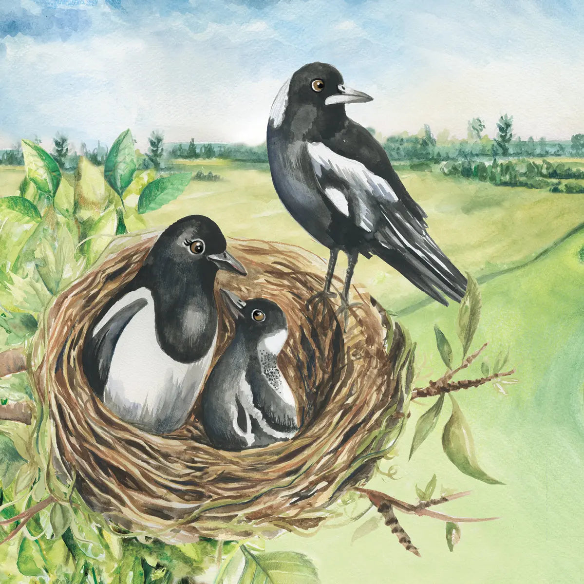 Austin Macauley, Lil legends, A Life Lessons for Kids, A Bird Called Swoopy