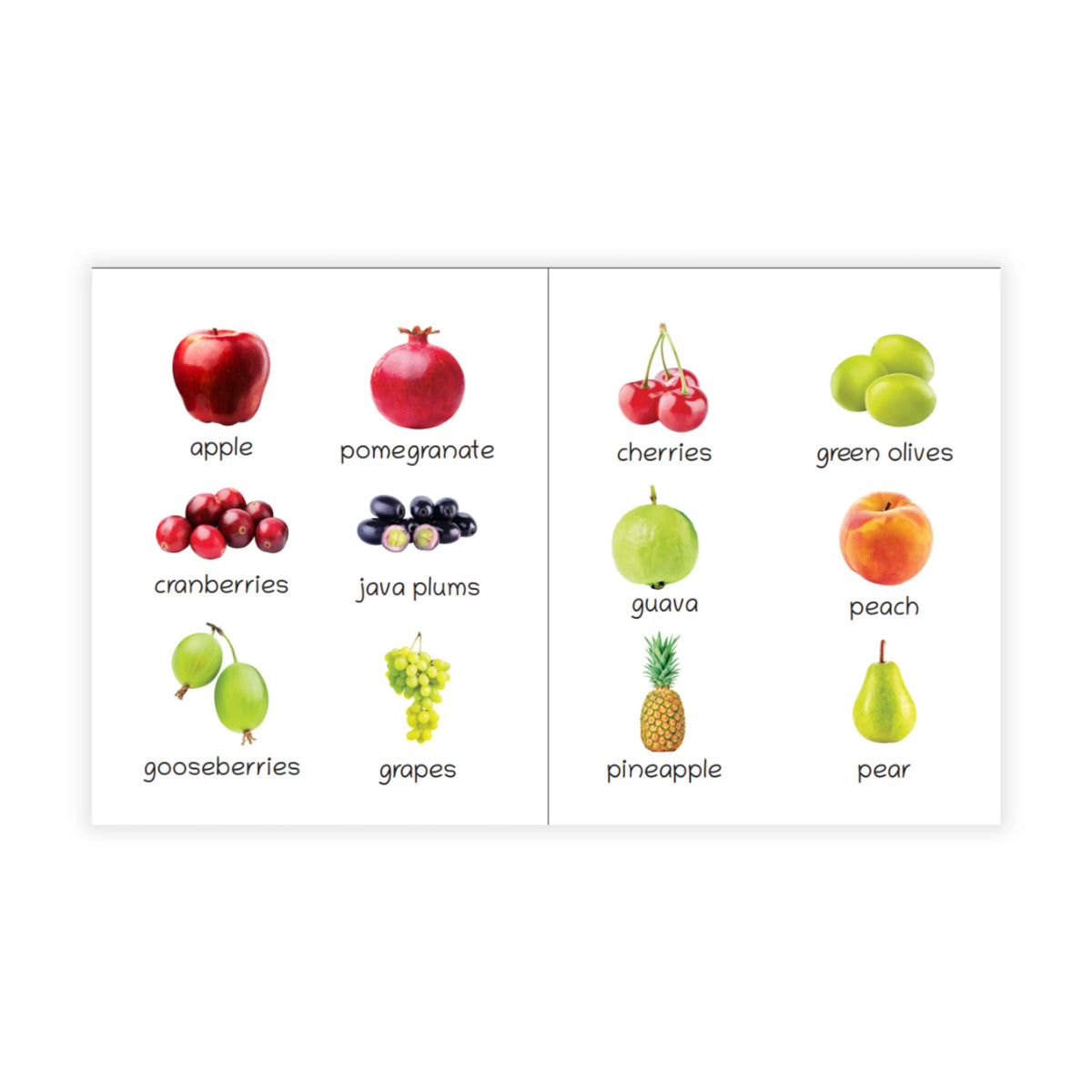 Lil Legends Picture Book for Kids Age 1+ Years - Learn About Fruits | Early Learning Illustrated Book with Colourful Pictures | First Words Book for Toddlers & Preschoolers 