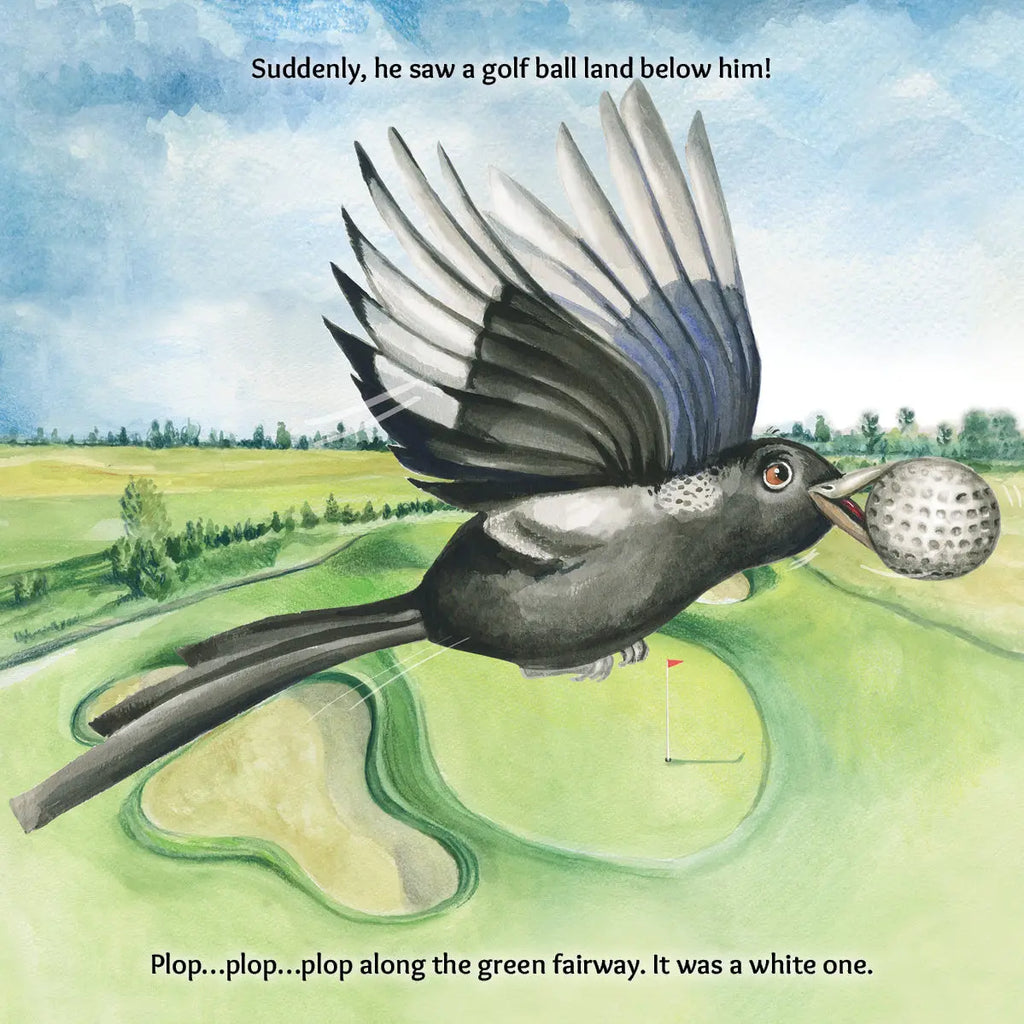 Austin Macauley, Lil legends, A Life Lessons for Kids, A Bird Called Swoopy