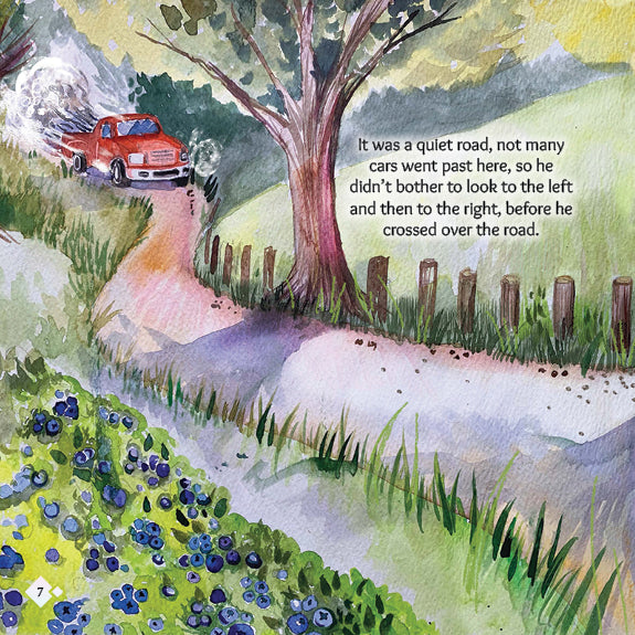 Lil Legends: A Goat Called Curly -Car danger 