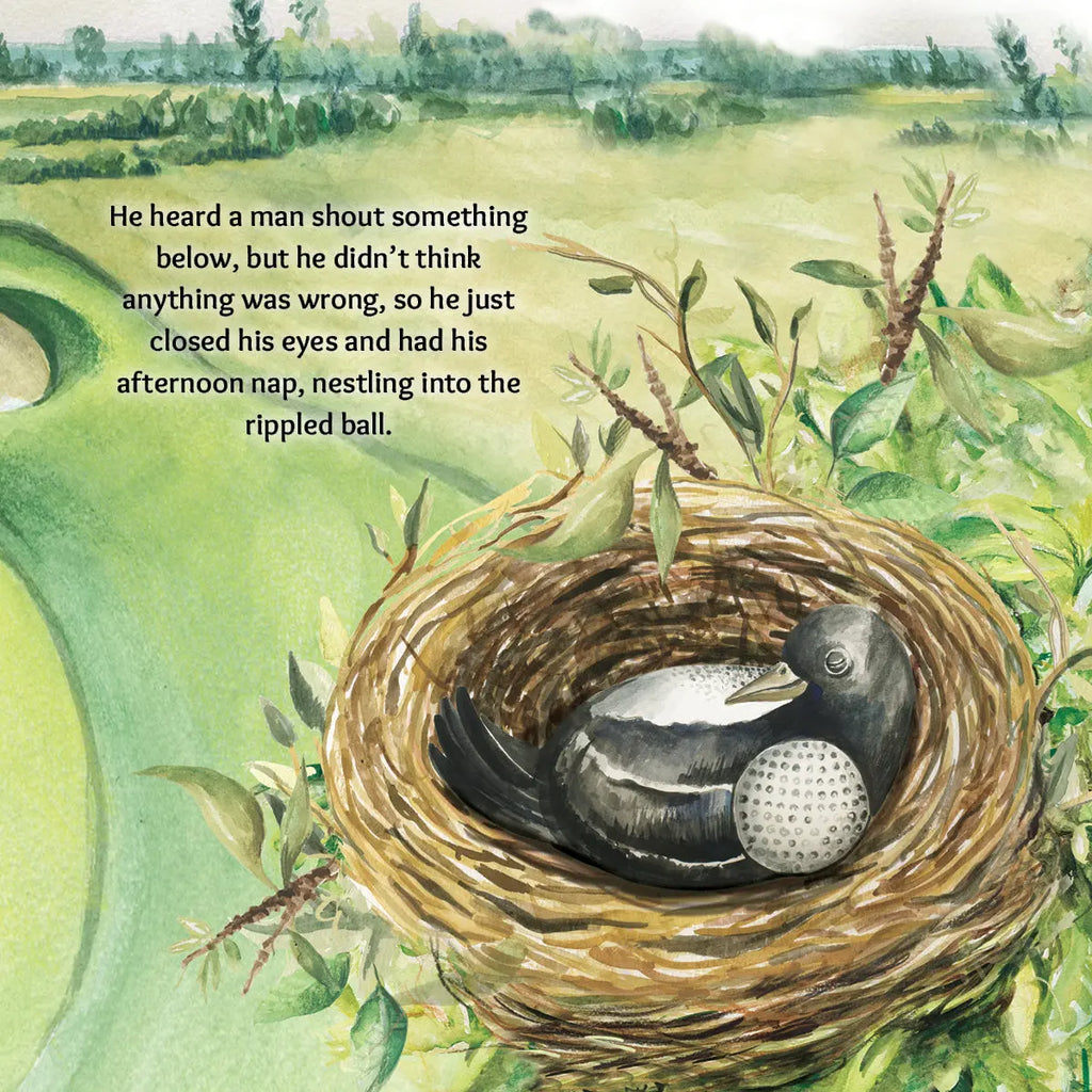 Austin Macauley, Lil legends, A Life Lessons for Kids, A Bird Called Swoopy