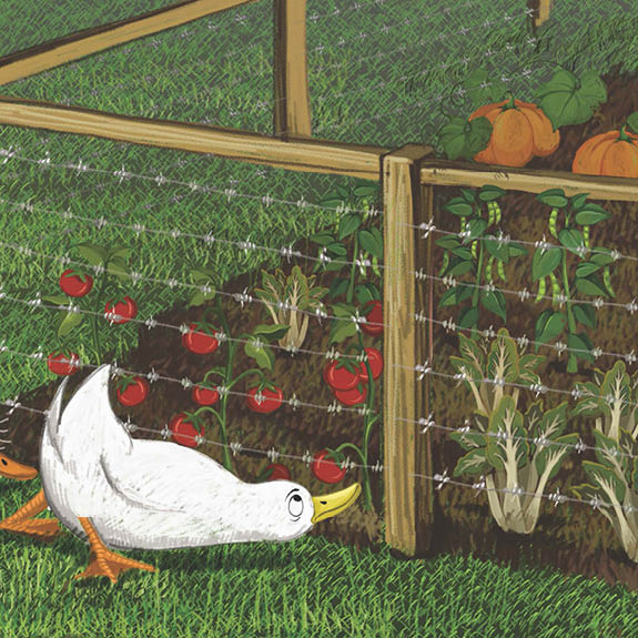 Lil Legends: A Duck Called Francis -Being clean 