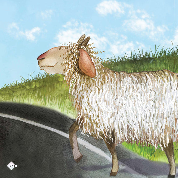 Lil Legends: A Goat Called Curly -Car danger 
