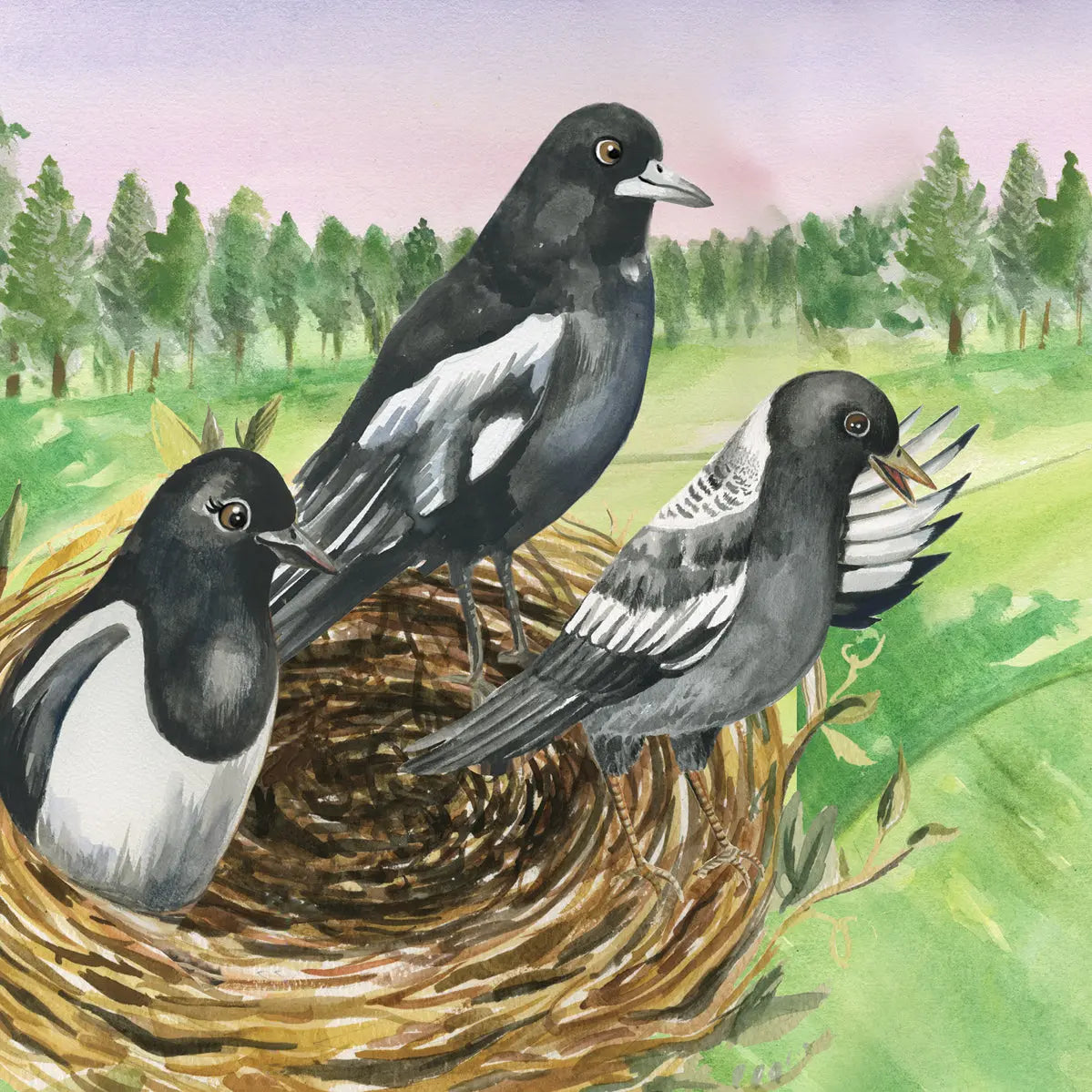 Austin Macauley, Lil legends, A Life Lessons for Kids, A Bird Called Swoopy