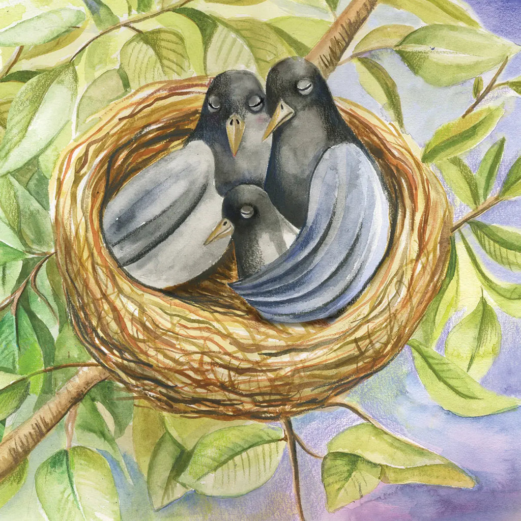 Austin Macauley, Lil legends, A Life Lessons for Kids, A Bird Called Swoopy