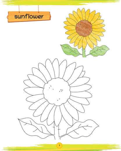 Lil Legends Book Of Copy Colouring Flowers for Kids | Fun Activity Book to Boost Focus, Vocabulary and Creativity  | For Nursery/LKG/UKG | Age 3+ 