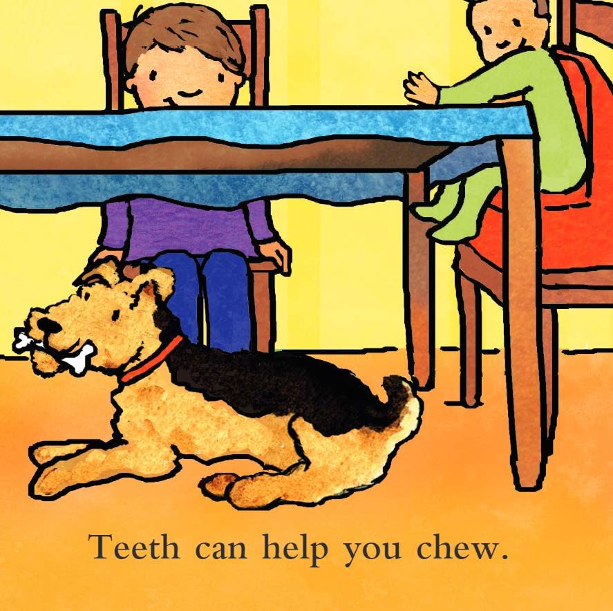 Teeth Are Not for Biting — Board Book for Toddlers (Ages 1-4 yrs) | Builds Gentle Communication & Kindness | by Free Spirit Publishing