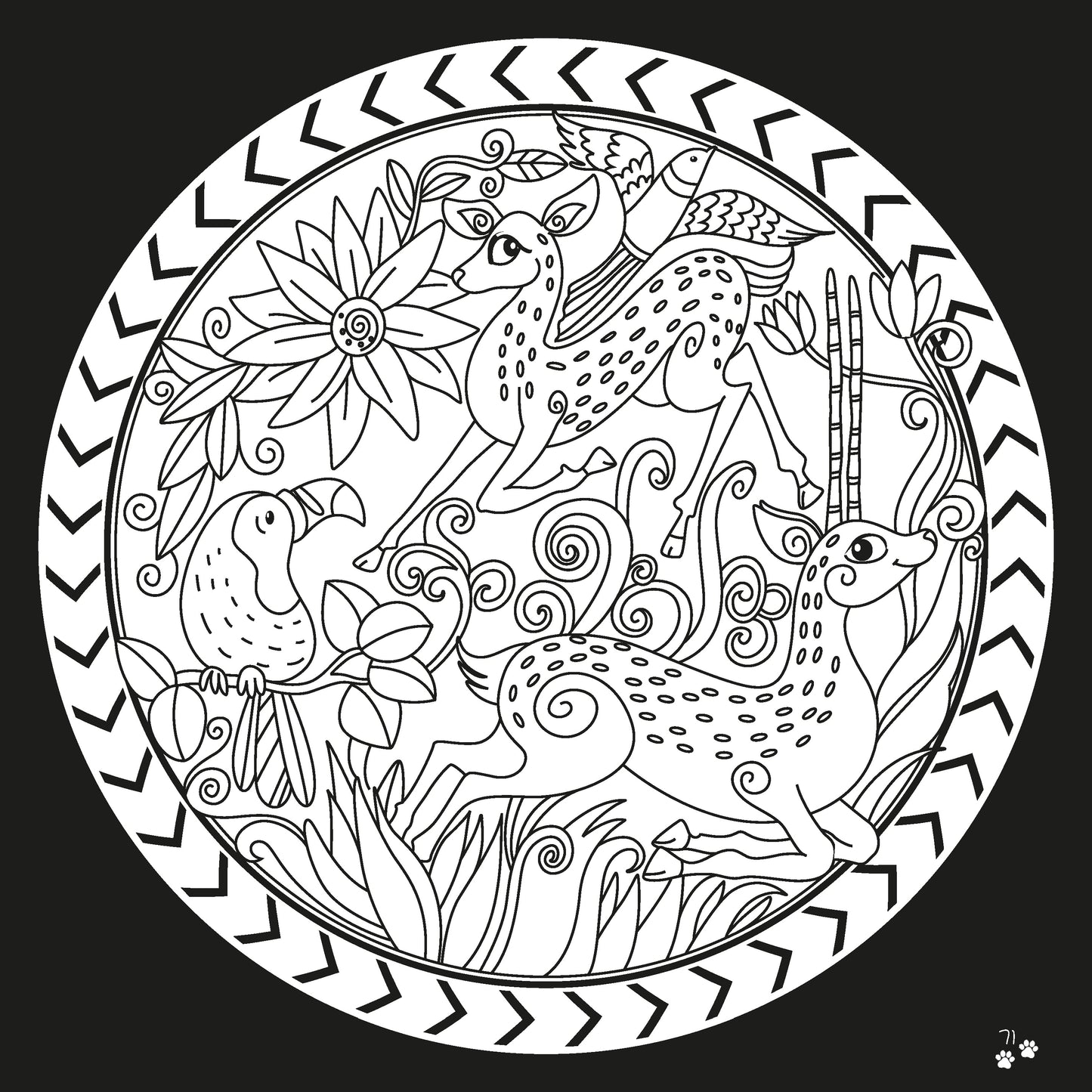 Animals & Dragons Colouring Book Set – 2 Kids Activity Books for Creative Learning & Fun 