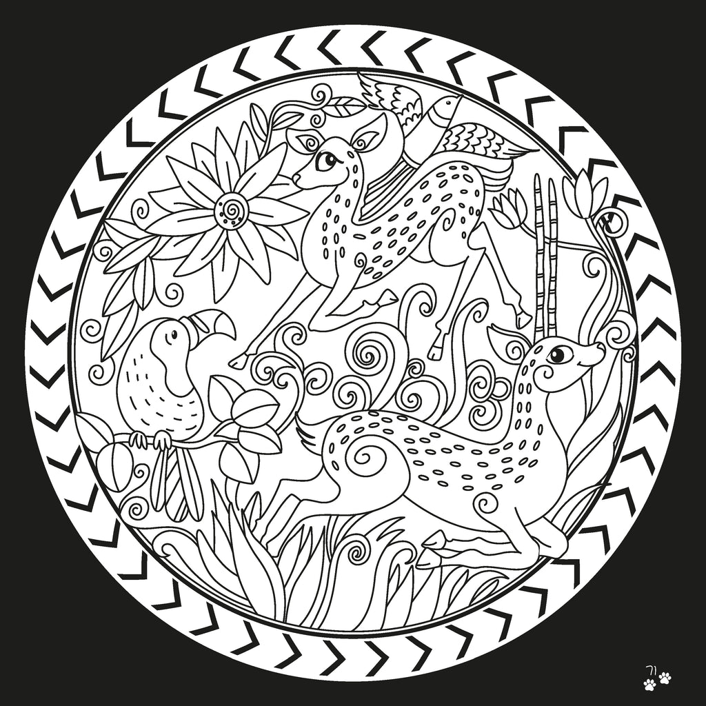 Colouring Book Combo – Animals & Toys (Set of 2) | Fun Kids Colouring & Activity Books, Creative Learning & Art Bundle 