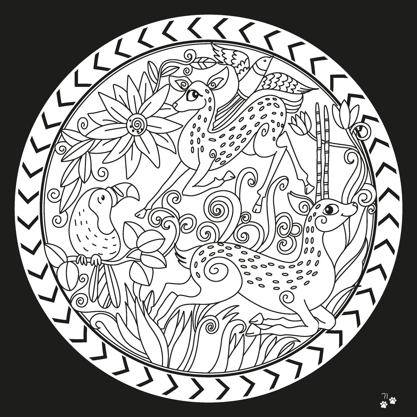 Lil Legends Let's Colour Animals & Toys - Colouring Book Combo Set of 2 for Kids Age 3+ Years | Fun Activity Books | Early Learning & Creativity Books for Toddlers & Preschoolers | Travel-Friendly 