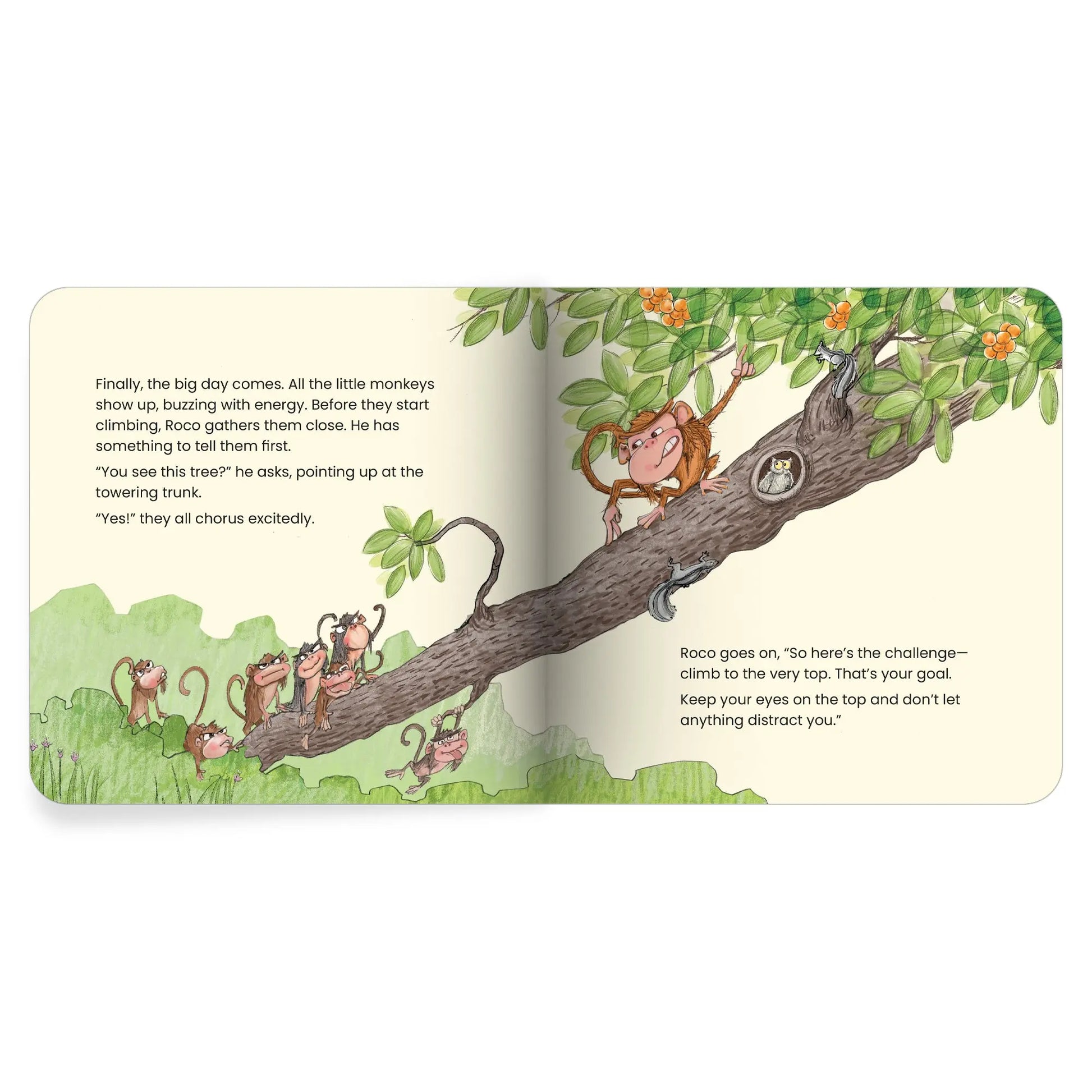 Lil Legends Mindful Moments Series - Skilful Climbers, Learning to Pay Attention | Picture Story Book for Kids | Illustrated Stories to Build Self-Control and Emotional Learning | Age 5+ 
