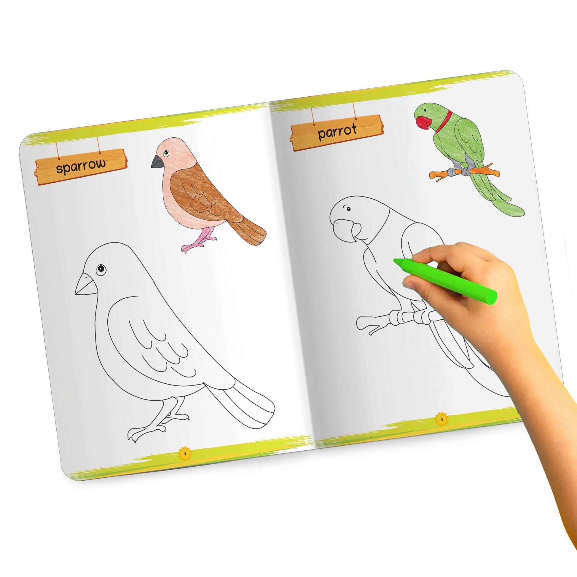 Lil Legends Books of Copy Colouring Set of 5 Books for Kids | Transport, Shapes, Numbers, Clothes and Birds | Fun Activities and Vocabulary Booster | For LKG/UKG | Age 3+ 