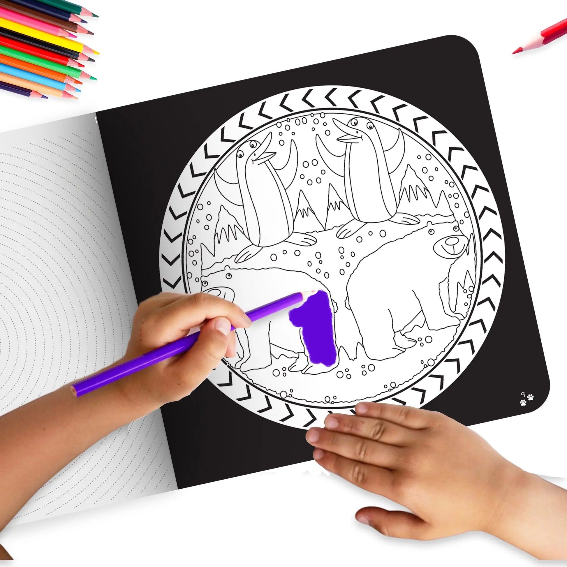 Lil Legends Let's Colour Set of 2 Colouring Books | Animals and Dreams | Travel-Friendly Hardboard Support | Boosts Focus and Creativity | For UKG/Primary | Age 4+ 