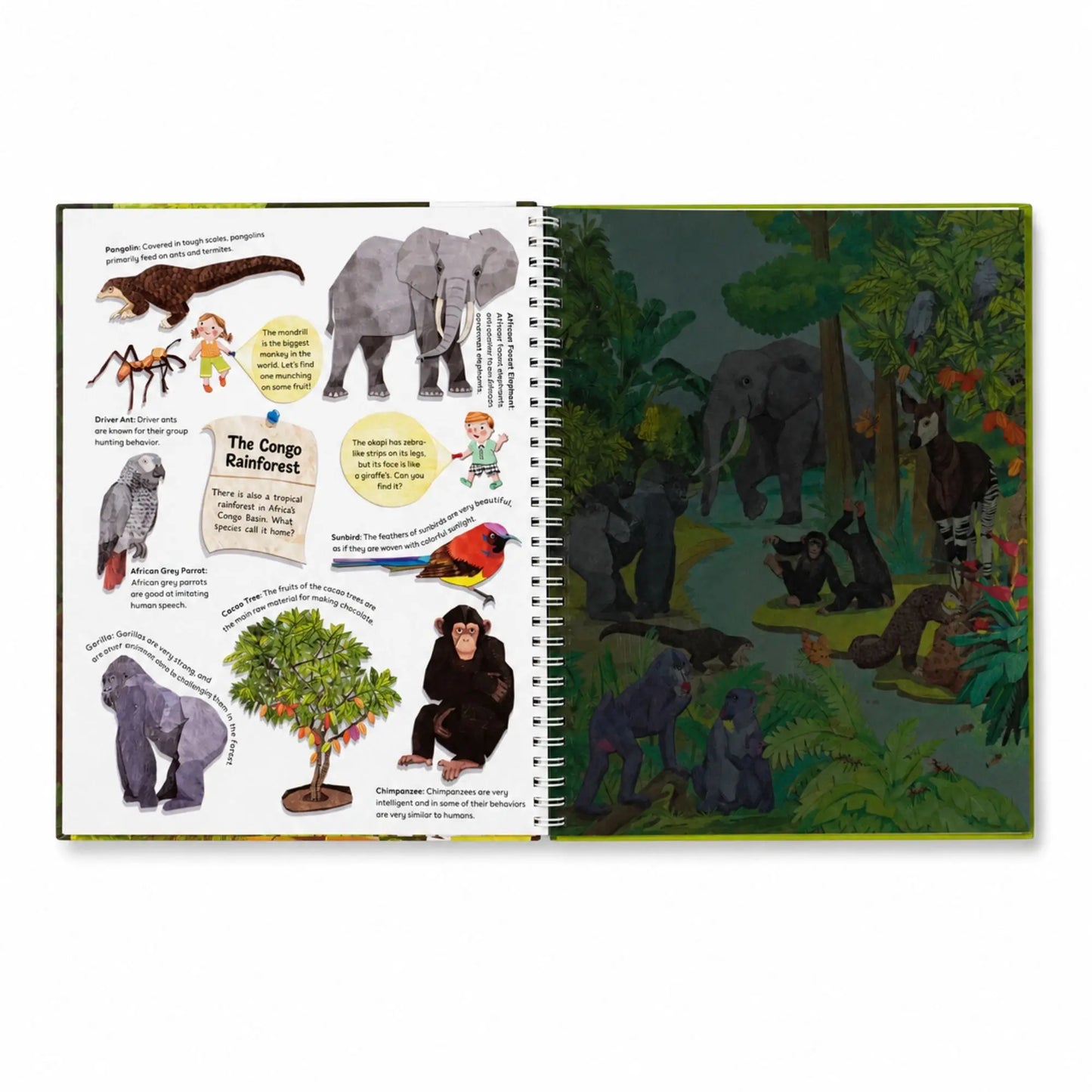 Lil Legends Magic Flashlight Big Discoveries Jungle Animals for Kids | Interactive Hidden Picture Book with Reveal Card | Interesting Facts | Activity Book for Toddlers | For Age 3+ 