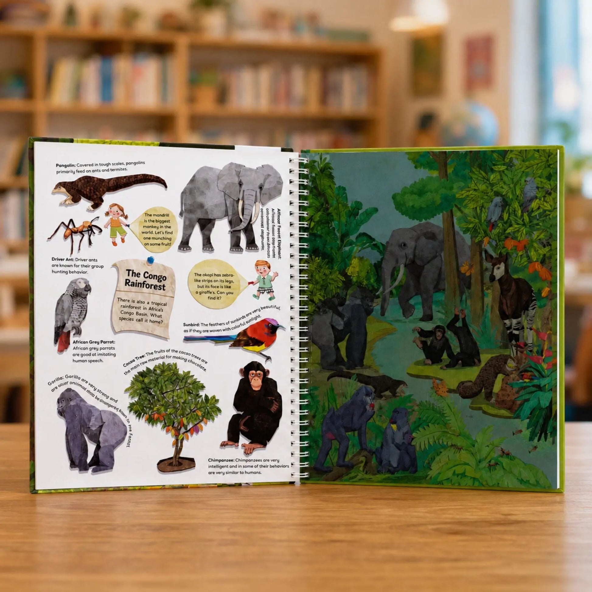 Lil Legends Magic Flashlight Big Discoveries Jungle Animals for Kids | Interactive Hidden Picture Book with Reveal Card | Interesting Facts | Activity Book for Toddlers | For Age 3+ 