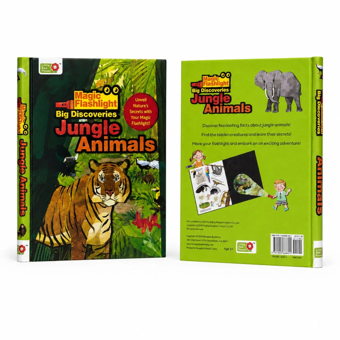 Lil Legends Magic Flashlight Big Discoveries Jungle Animals for Kids | Interactive Hidden Picture Book with Reveal Card | Interesting Facts | Activity Book for Toddlers | For Age 3+ 