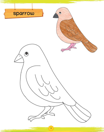 Lil Legends Book Of Copy Colouring Birds for Kids | Fun Activity Book to Boost Focus, Vocabulary and Creativity  | For Nursery/LKG/UKG | Age 3+