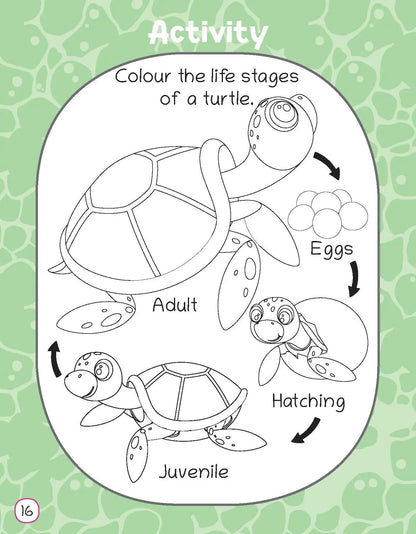 Lil Legends Know Me Series for Kids | I am a Turtle | Fascinating Sea Animal Book | Illustrated Picture Book | Age 2+ Years | Early Learning fun | Paperback