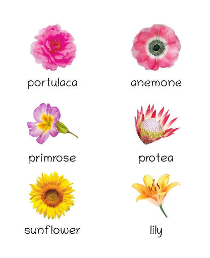 Lil Legends Picture Book for Kids Age 1+ Years - Learn About Flowers | Early Learning Illustrated Book with Colourful Pictures | First Words Book for Toddlers & Preschoolers