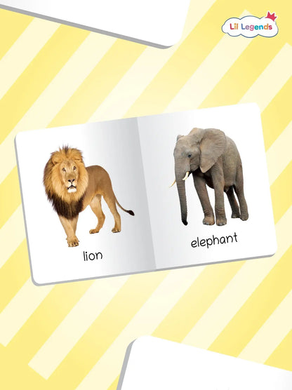 Lil Legends My First Mini Library Vol 1 - Box Set of 12 Early Learning Board Books for Kids Age 2-4 Years | Alphabet, Numbers, Colours, Shapes, Animals, Fruits, Vegetables, Birds, Transport & More