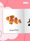 Mini Library Box Set – 12 Durable Board Books for Toddlers | Real-World Concepts Like Baby Animals, Foods, Good Habits, Opposites & More | Tear-Resistant | Perfect for Ages 0–4 