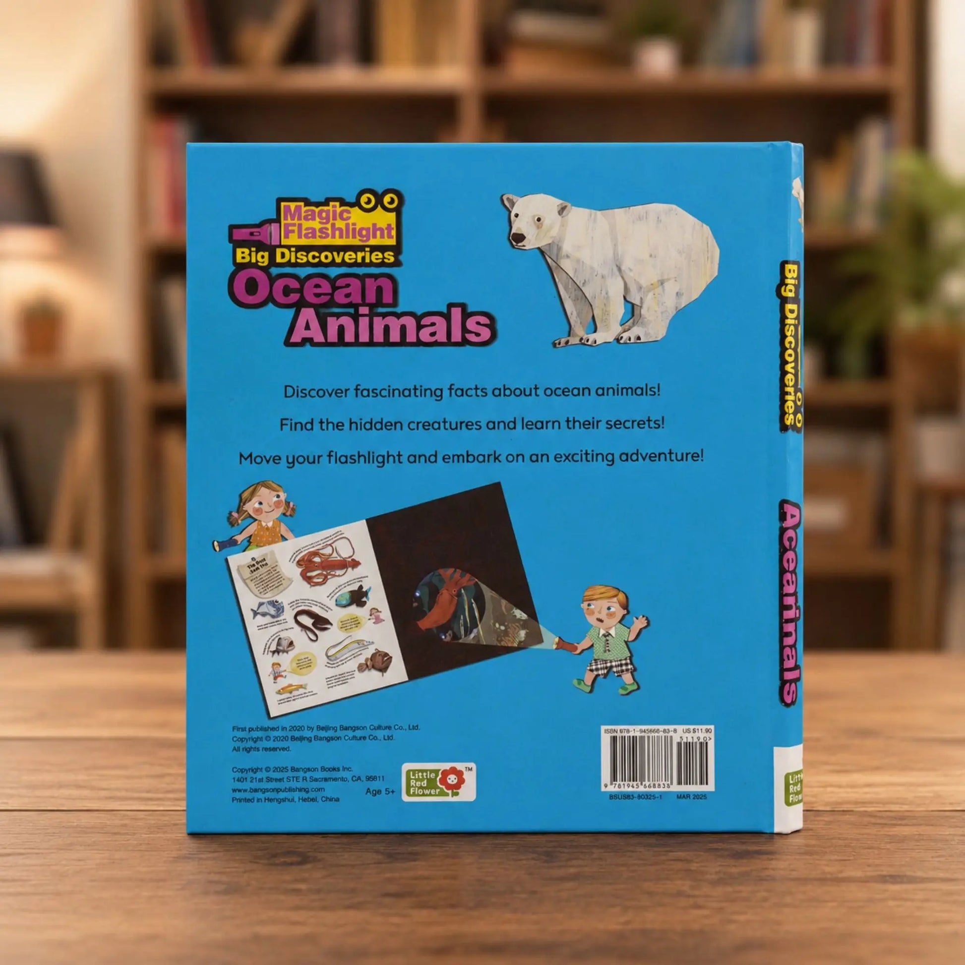 Lil Legends Magic Flashlight Big Discoveries Ocean Animals for Kids | Interactive Hidden Picture Book with Reveal Card | Interesting Facts | Activity Book for Toddlers | For Age 3+ 