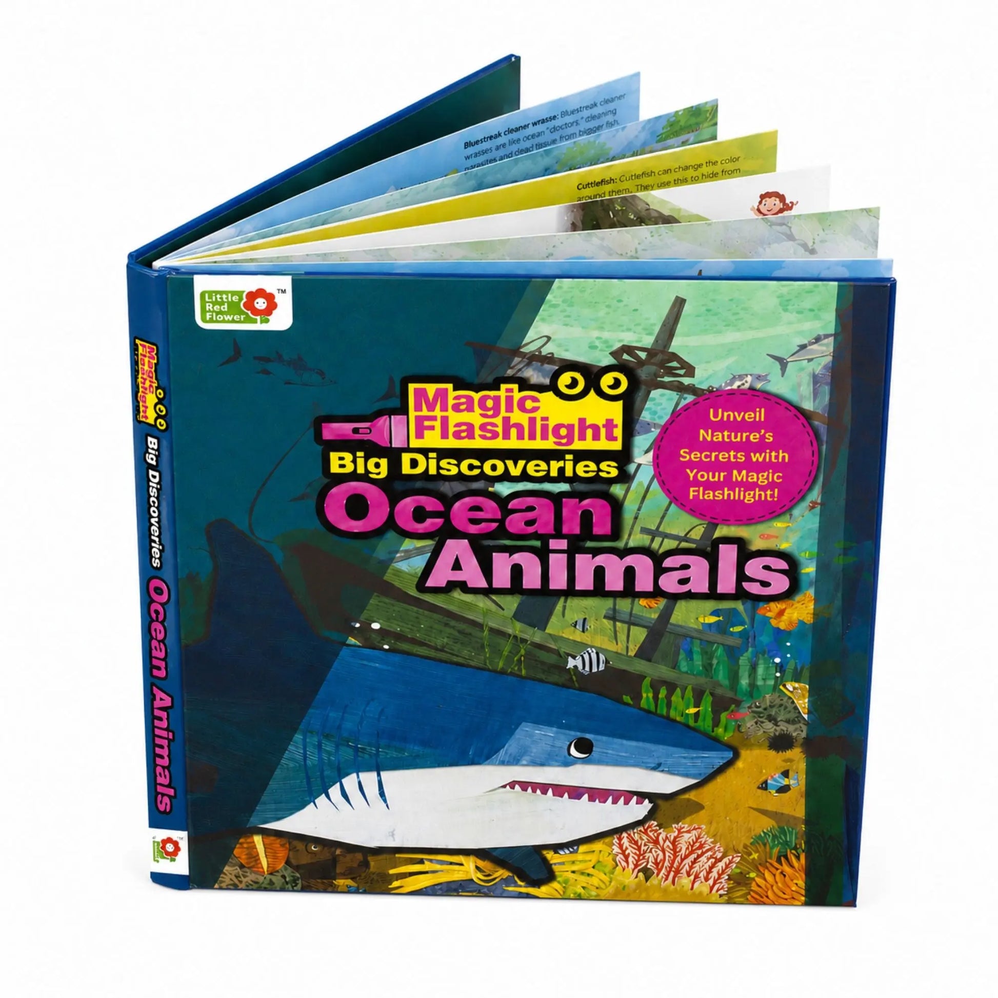 Lil Legends Magic Flashlight Big Discoveries Ocean Animals for Kids | Interactive Hidden Picture Book with Reveal Card | Interesting Facts | Activity Book for Toddlers | For Age 3+ 