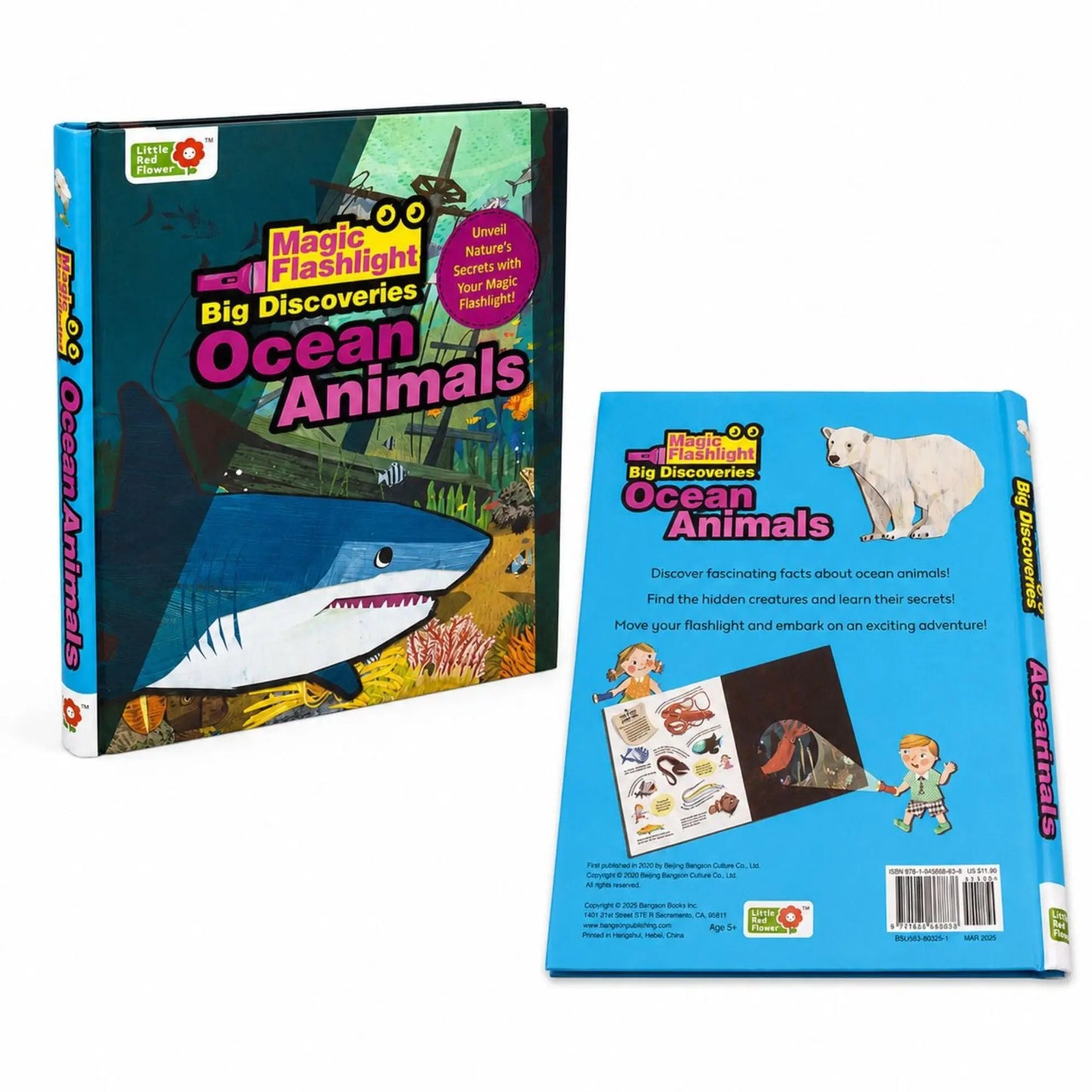 Lil Legends Magic Flashlight Big Discoveries Ocean Animals for Kids | Interactive Hidden Picture Book with Reveal Card | Interesting Facts | Activity Book for Toddlers | For Age 3+ 