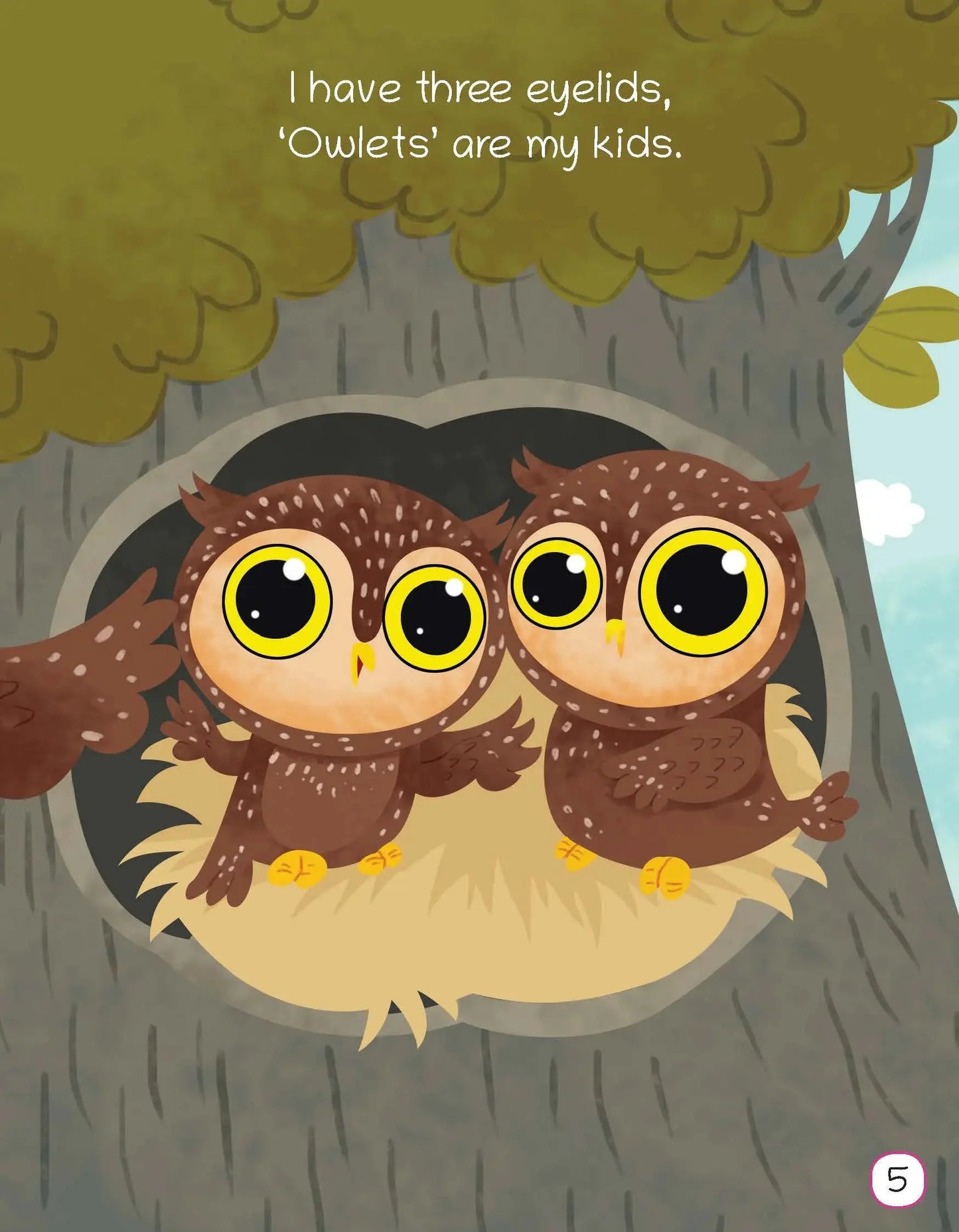 Lil Legends Know Me Series Birds - I am an Owl | Illustrated Picture Book for Kids Age 2+ Years | Fun Facts & Engaging Stories About Birds for Early Learning