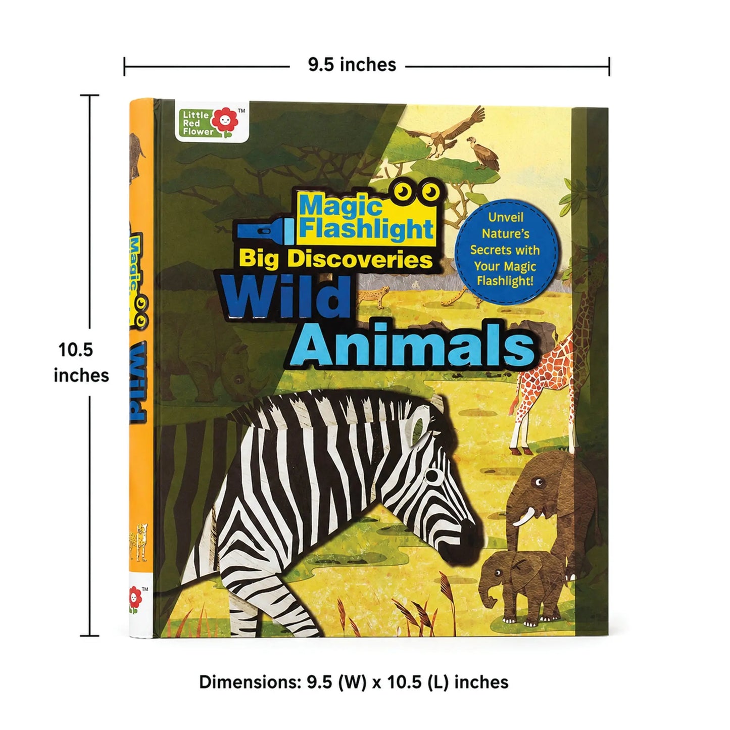 Oswaal Lil Legends Magic Flashlight Little Explorer Mega Pack – Ocean, Jungle, Dinosaur and Wild Animals for Kids | Interactive Hidden Pictures, Reveal Card and Interesting Facts | For Age 3+