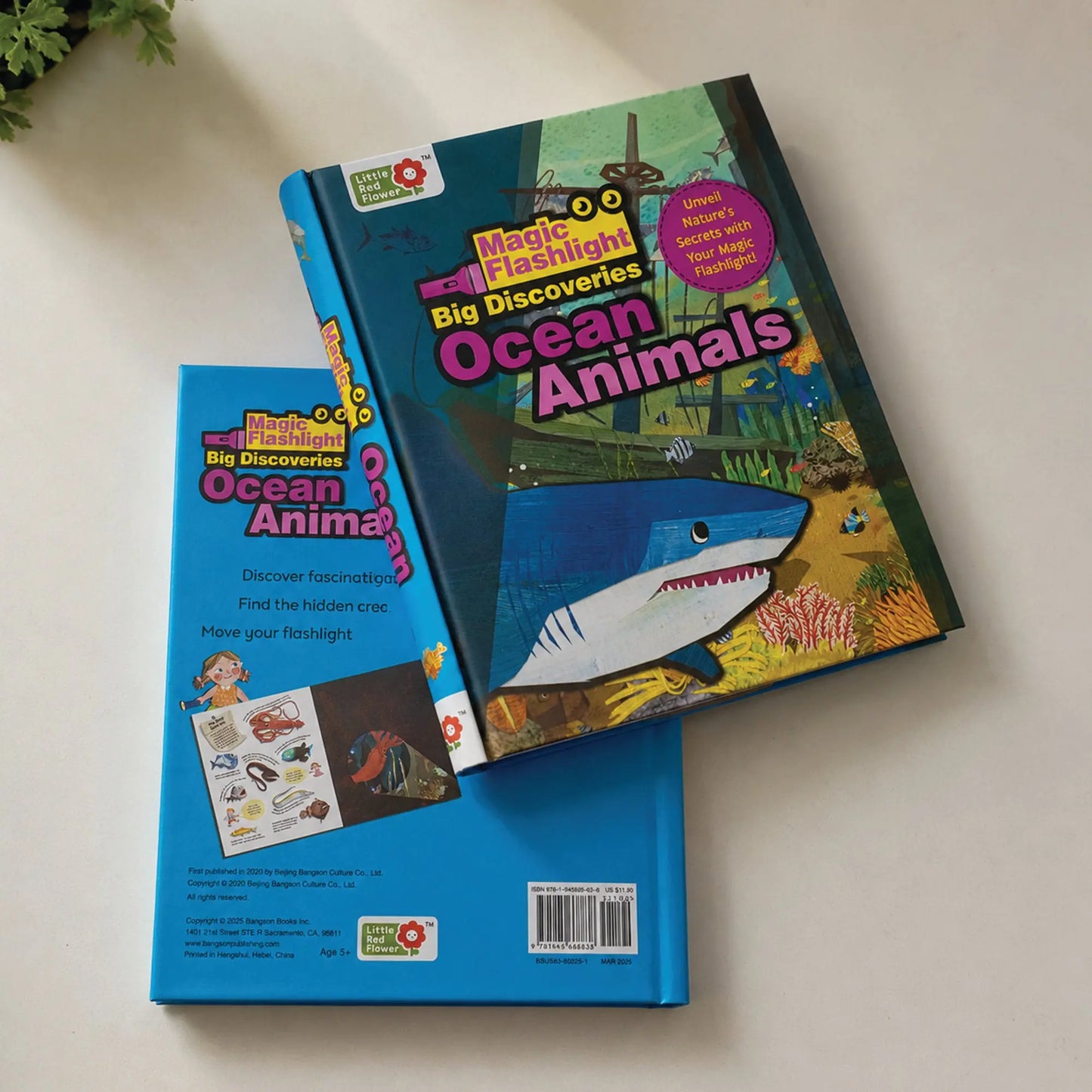 Oswaal Lil Legends Magic Flashlight Little Explorer Mega Pack – Ocean, Jungle, Dinosaur and Wild Animals for Kids | Interactive Hidden Pictures, Reveal Card and Interesting Facts | For Age 3+