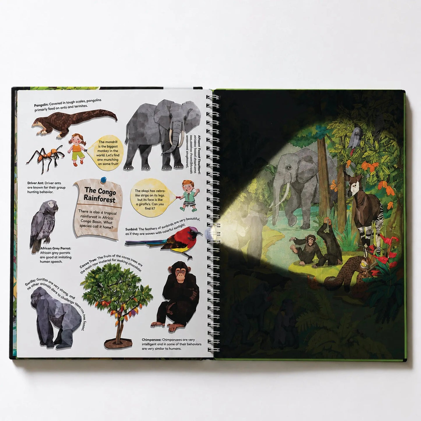 Oswaal Lil Legends Magic Flashlight Little Explorer Mega Pack – Ocean, Jungle, Dinosaur and Wild Animals for Kids | Interactive Hidden Pictures, Reveal Card and Interesting Facts | For Age 3+